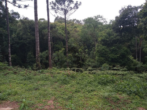 Imagem 5 de 15 de Chacara - Tres Corregos - Ref: 2292 - V-2292