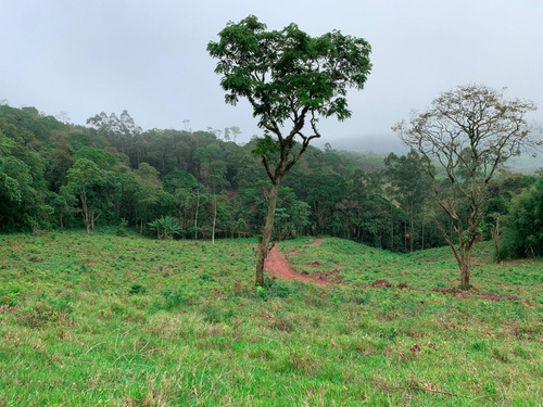 Imagem 7 de 14 de A26 Terreno Com Otima Negociação