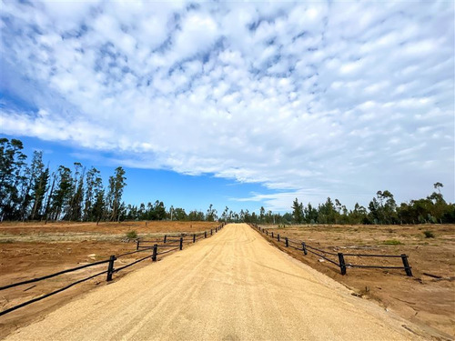 Proyecto Terrenos De 5.000 M2 En Venta - Matanzas