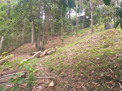 Imagem 9 de 9 de Terreno À Venda, Parque Pretoria - Franco Da Rocha/sp - 2171