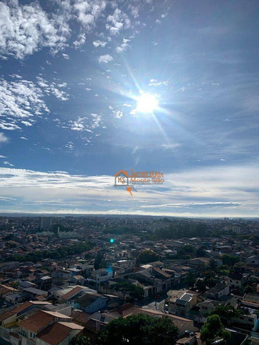 Imagem 17 de 22 de Apartamento Com 2 Dormitórios À Venda, 47 M² Por R$ 250.000,00 - Jardim Las Vegas - Guarulhos/sp - Ap1908