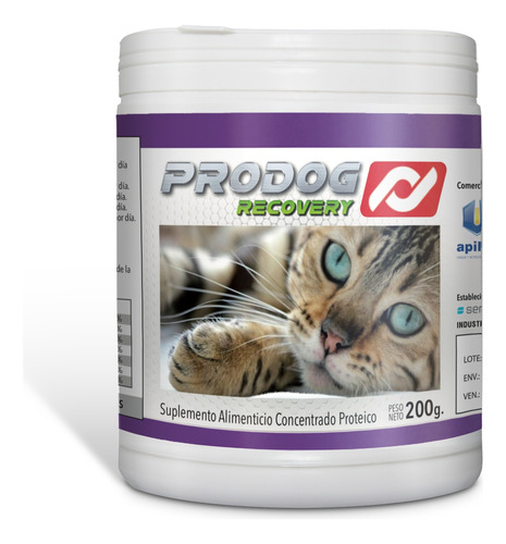 Gatos Suplemento Proteico Prodog Recovery