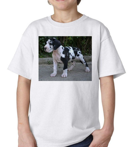 Remera De Niño Perro Gran Danes Cachorro