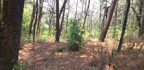 Imagen 4 de 28 de Casa En Venta En Circuito Avándaro, Valle De Bravo