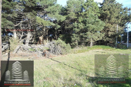 Imagen 5 de 7 de Excelente Lote En Las Camelias, Costa Del Este