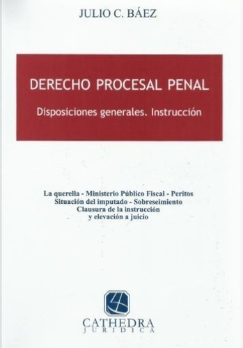 Derecho Procesal Penal - Báez, Julio C