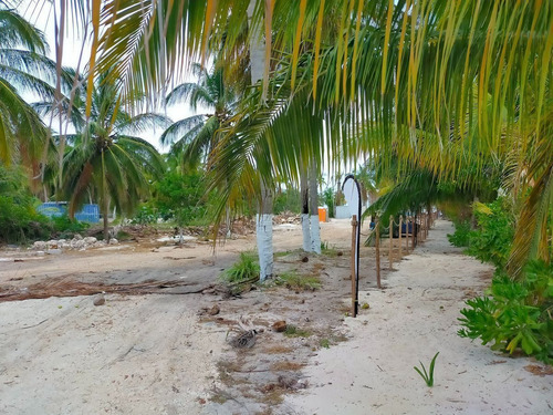 Imagen 17 de 23 de Playales, Venta De Terrenos Premium En Telchac Con Casa Club