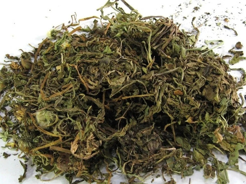 Diente De León 500 Gr Té Orgánico