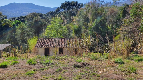 Imagem 10 de 14 de Chácara 3000m2 Em Aiuruoca Sul De Minas