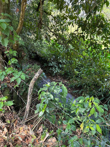Terreno En Venta En Coatepec Zona Los Carriles