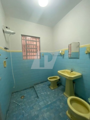 Imagem 10 de 24 de Casa Pauliceia Venda - Ca01533 - 70154457