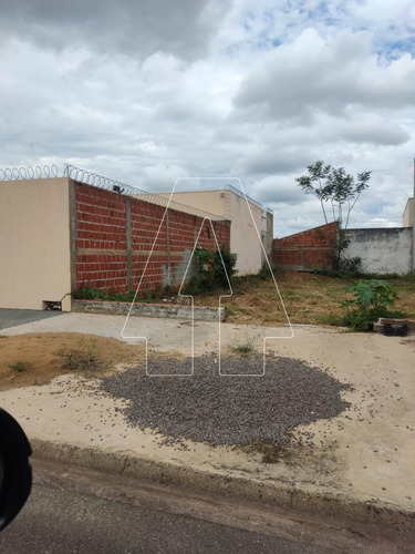 Imagem 3 de 4 de Terrenos - Ref: V87632