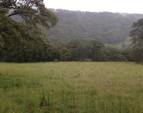 Terreno Para Rancho Amealco, Queretaro Sup. 68,889 Mts