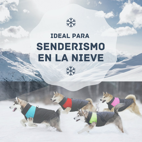 Campera Perro Impermeable Con Arnes(50 Cm De Largo Del Lomo) Rojo