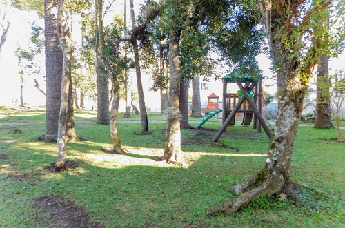 Imagem 11 de 23 de Terreno - Residencial - 926224