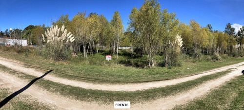 Dueño Directo Vende Terreo 1000m2 (20x50) San Bernardo