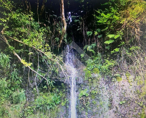 Sitio En Venta En Colico - Cunco