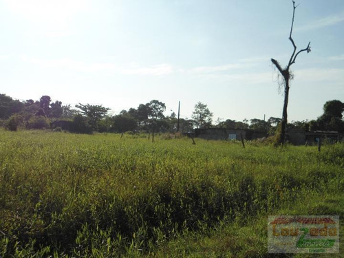 Terreno Para Venda Em Peruíbe, Jardim Somar - 0289_2-231411