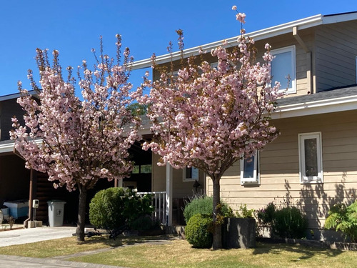 Casa De 160m2, 4d 4b, 2 Pisos, Condominio El Bayo, Valdivia
