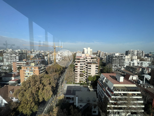 22092 - Los Leones/nuevas