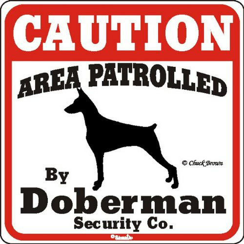 Señal De Jardín Para Perros: Cuidado, Patrullado Por Doberma