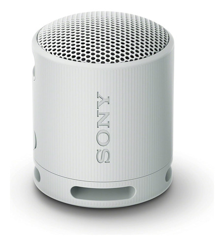 Altavoz Inalambrico Sony Xb100 , Con Bluetooth, Ip67, Gris