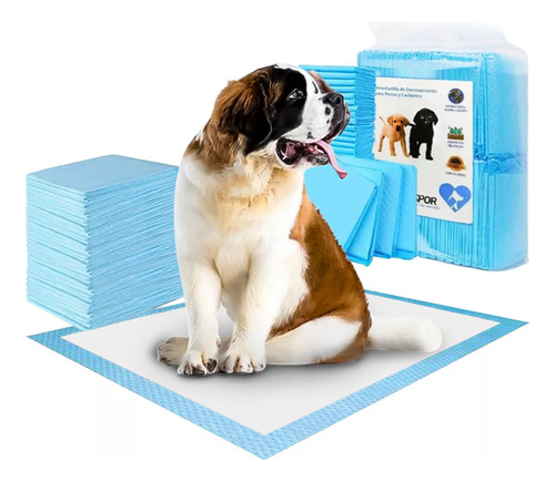 100 Pañales Sabanillas Perros Y Gatos Mascotas 45x60cm Marca Aspor Adiestramiento Baño Entrenamiento Pack 100 Unidades Superficie Acolchada Excelente Absorcion 3 Capas Secado Rapido Retiene Liquidos