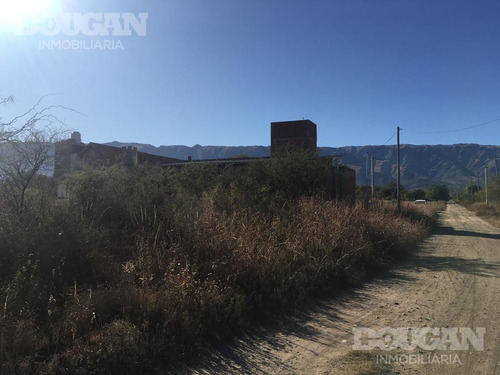 Imagen 5 de 8 de Terreno - Quintas Del Tomero
