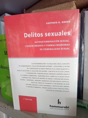 Delitos sexuales Autodeterminación Consentimiento Formas Modernas de Criminalidad Sexual de Gustavo Aboso Editorial Hammurabi Tapa Blanda