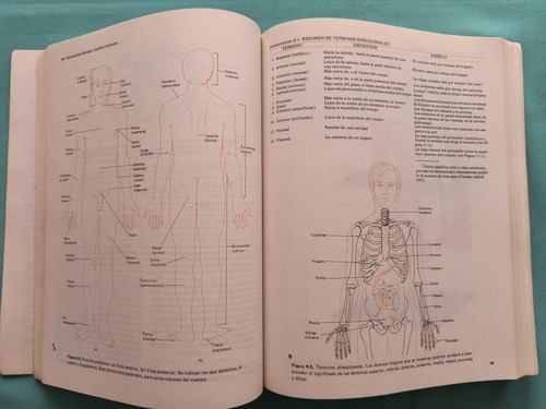 Principios De Anatomía Y Fisiología (Usado)