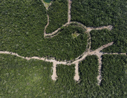 528 Tulum, Tulum, Quintana Roo, Lotes Residenciales Con Cenote Propio