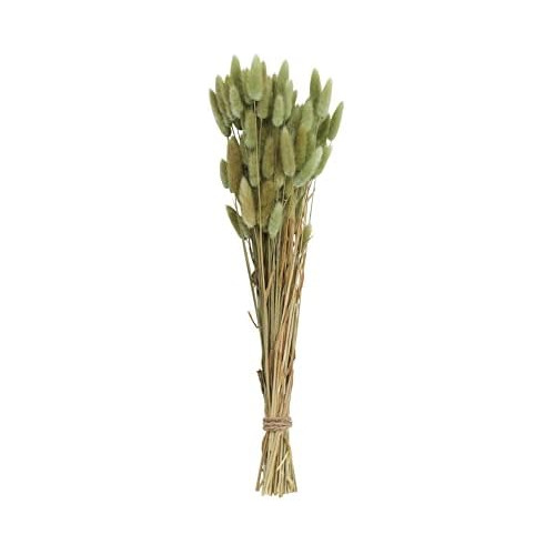 Bunny Tail Grass Bouquet, Green