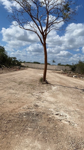 Imagen 3 de 17 de Venta Terreno En Yucatán Country Club, Residencial Mistika,