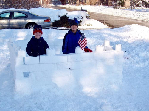 Flexible Flyer Snow Fort Building Block, Molde De Castill...