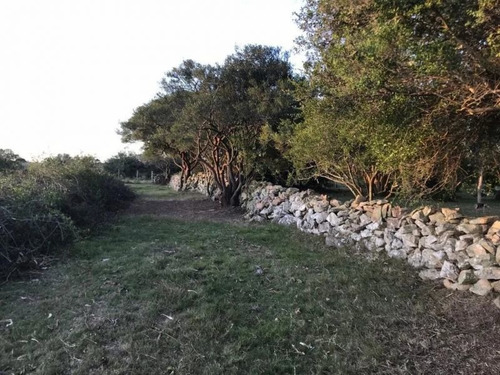Campo De 35 Hectareas Sobre Ruta 12