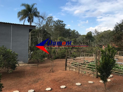 Imagem 9 de 22 de Chácara Cercada E Com Árvores Frutíferas Cód 444
