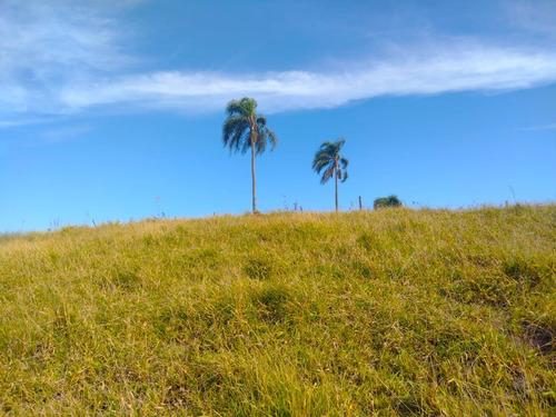 Imagem 4 de 9 de G19 Santa Isabel Terrenos A Venda 1000m²