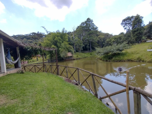 Imagem 9 de 30 de Belíssimo Sítio, Com Excelente Topografia E Rico Em Água - 52 - 70636338