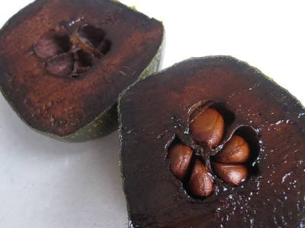 Arbolito De Zapote Negro