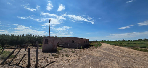 Venta Finca El Carrizal
