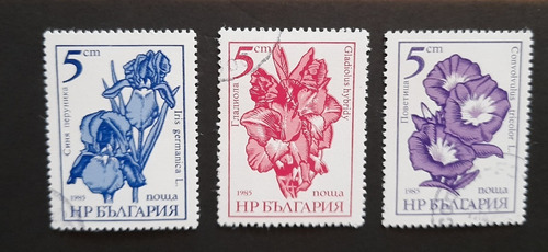 Sello Postal - Bulgaria - Flores De Jardín - 1985