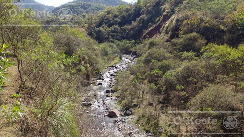 Imagen 4 de 30 de Campo En Venta En Salta - 2000 Has