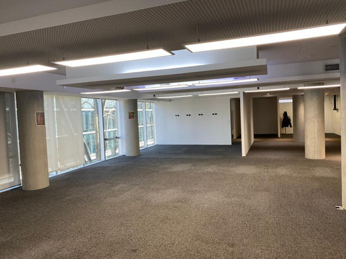 Imagen 4 de 14 de Oficinas Alquiler | Humboldt 1509, Palermo, Caba | 372 M2