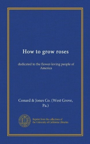 Como Cultivar Rosas Dedicadas A Las Personas Que Aman Las Fl