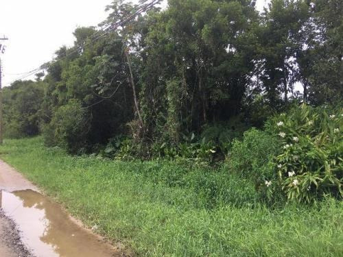 Terreno De Chácara À 1km Da Rodovia (mx)