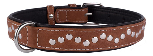 Collardirect Collar De Perro Con Tachuelas De Cuero Para Y Y