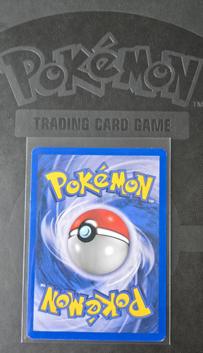 Lote 2 Pokemon Goldeen Y Seaking Base Set 2 (2000) Inglés Goldeen Y Seaking Inglés