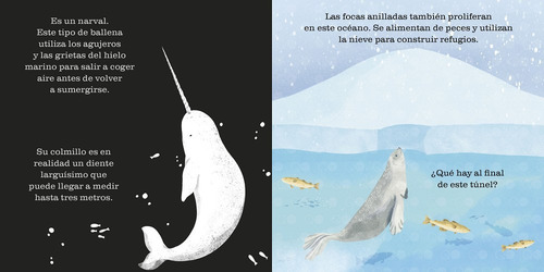 Imagen 3 de 4 de Océanos. Un Libro Para Iluminar