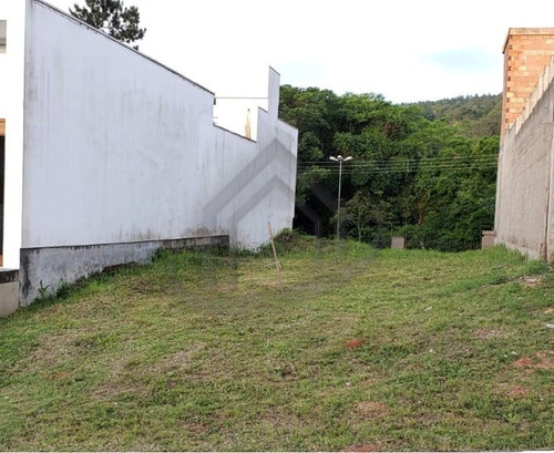 Imagem 1 de 2 de Terreno - Te00343 - 71167556
