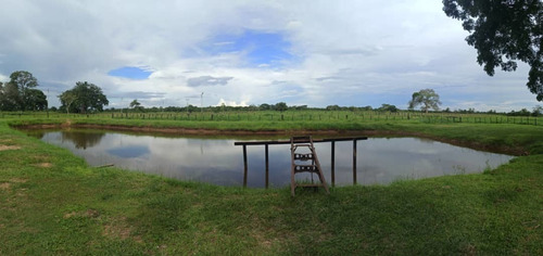 Imagen 8 de 9 de Se Vende Finca Via Al Sur A 10min Del C.c La Cascada Ve01-0939zs-mf